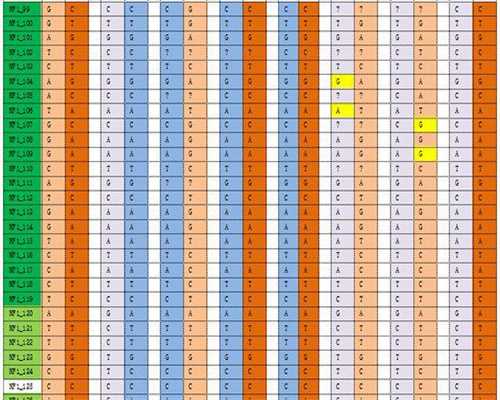 正规试管代怀-输卵管堵塞之后一般不能自愈！输卵管堵塞还有救吗！