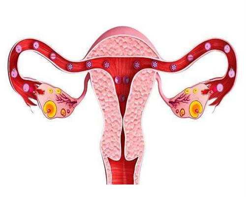 2026替硝唑费用对比，找对购买渠道是关键