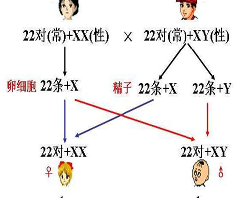 什么能让月经提前来怎么办？有什么办法能让月经提前来怎么办？