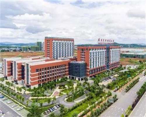 试管婴儿三天胚胎911质量等级是几级？