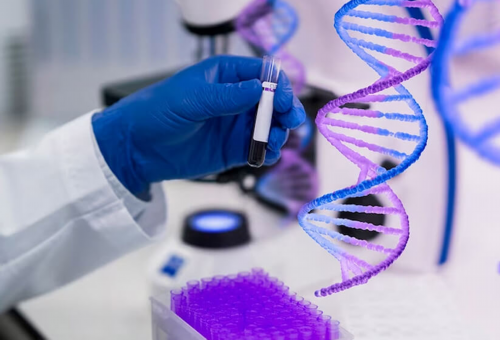 月经的不来原因是什么(月经不来怎么办吃什么催经)