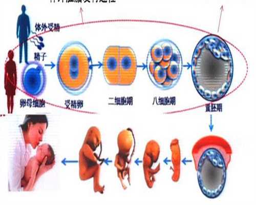 供卵咨询-2026年四月份预产期预测*男*女(胎儿性别由y染色体决定)