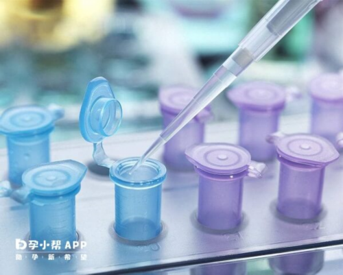 供卵自怀三胎-试管婴儿移植前怎样调理身体