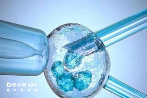 试管婴儿8c是什么等级的胚胎？质量好不好？