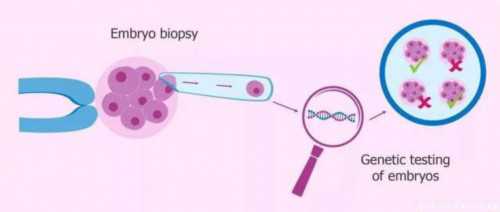 益玛欣天然黄体酮牌子_益玛欣黄体酮胶囊效果怎么样