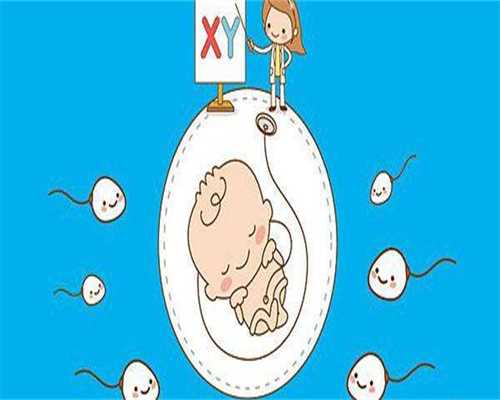 专业借卵服务-解放军171医院试管婴儿费用？苏州市立医院三代试管？