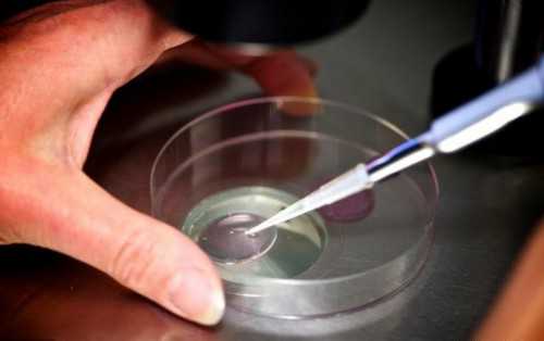 借卵价格-淮安试管三代哪家医院好淮安第一人民医院试管婴儿