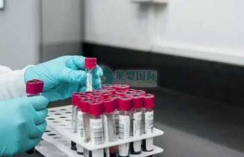 供卵机构助孕-月经第九天可以同房吗