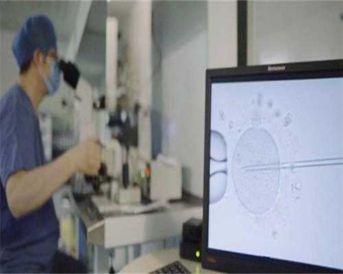 供卵价格-胚胎911是最高级别吗？