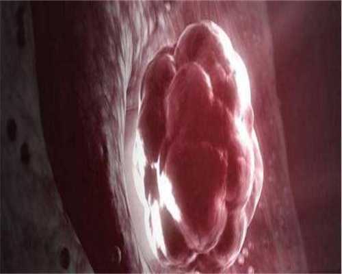 试管婴儿出院后意外夭折的背后原因