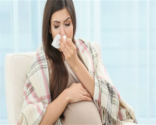 囊胚会不会分离成双胞胎