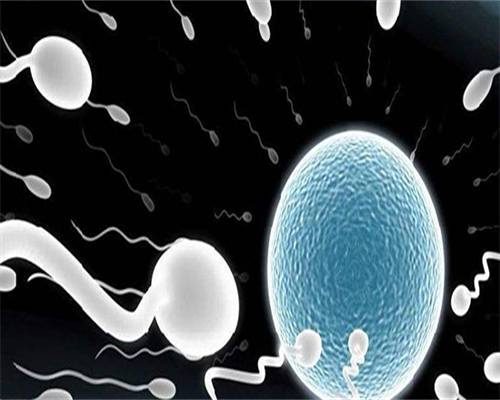 抗精子抗体阳性还能怀孕吗