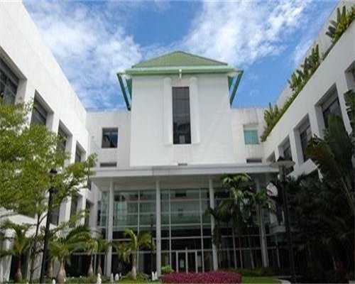 2026年四月份预产期预测*男*女，胎儿性别由y染色体决定