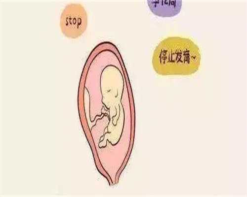 夫妻第三代试管婴儿基因检测多少钱？