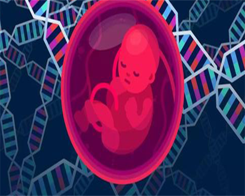 借卵怀孕-这4种不孕的情况，可以考虑做试管婴儿！