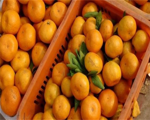 海外三代试管涉及基因检测合法吗？海外三代试管基因检测如何合规开展？