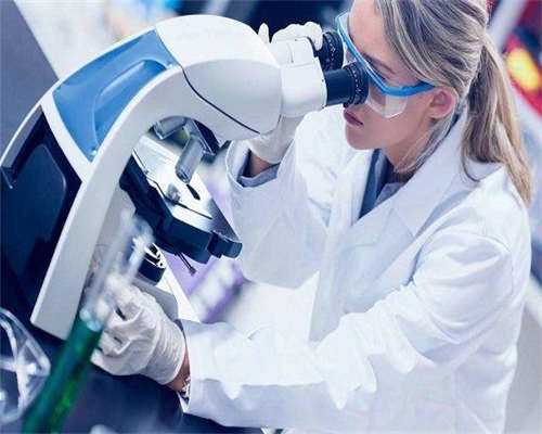 高龄代怀生子-试管婴儿胚胎73是什么意思