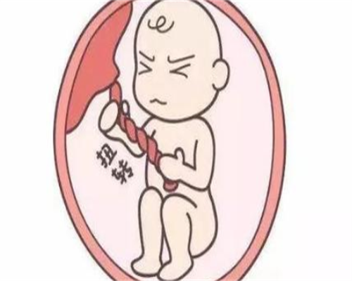 苏州不孕不育研究院的地址是什么