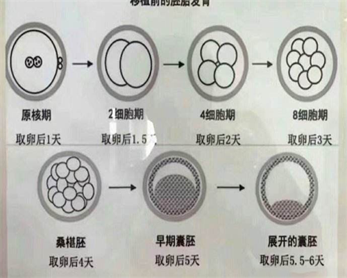 试管供卵排名-月经紊乱会影响到怀孕吗