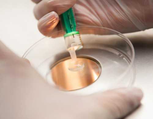 代怀生男孩-苏州治小儿便秘专科医院地址电话