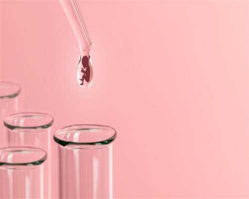 移植鲜胚和囊胚哪个更容易裂变成双胞胎？